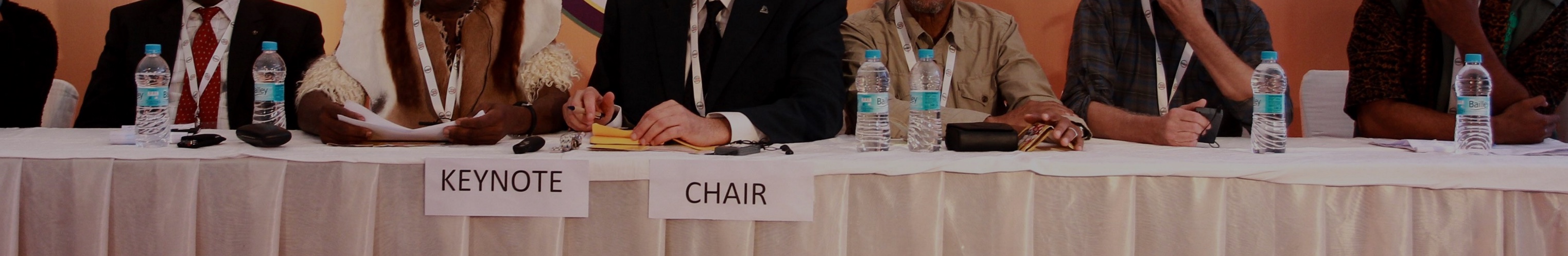 Keynote speech sponsored by Bailey / Chair sponsored by dioxin association