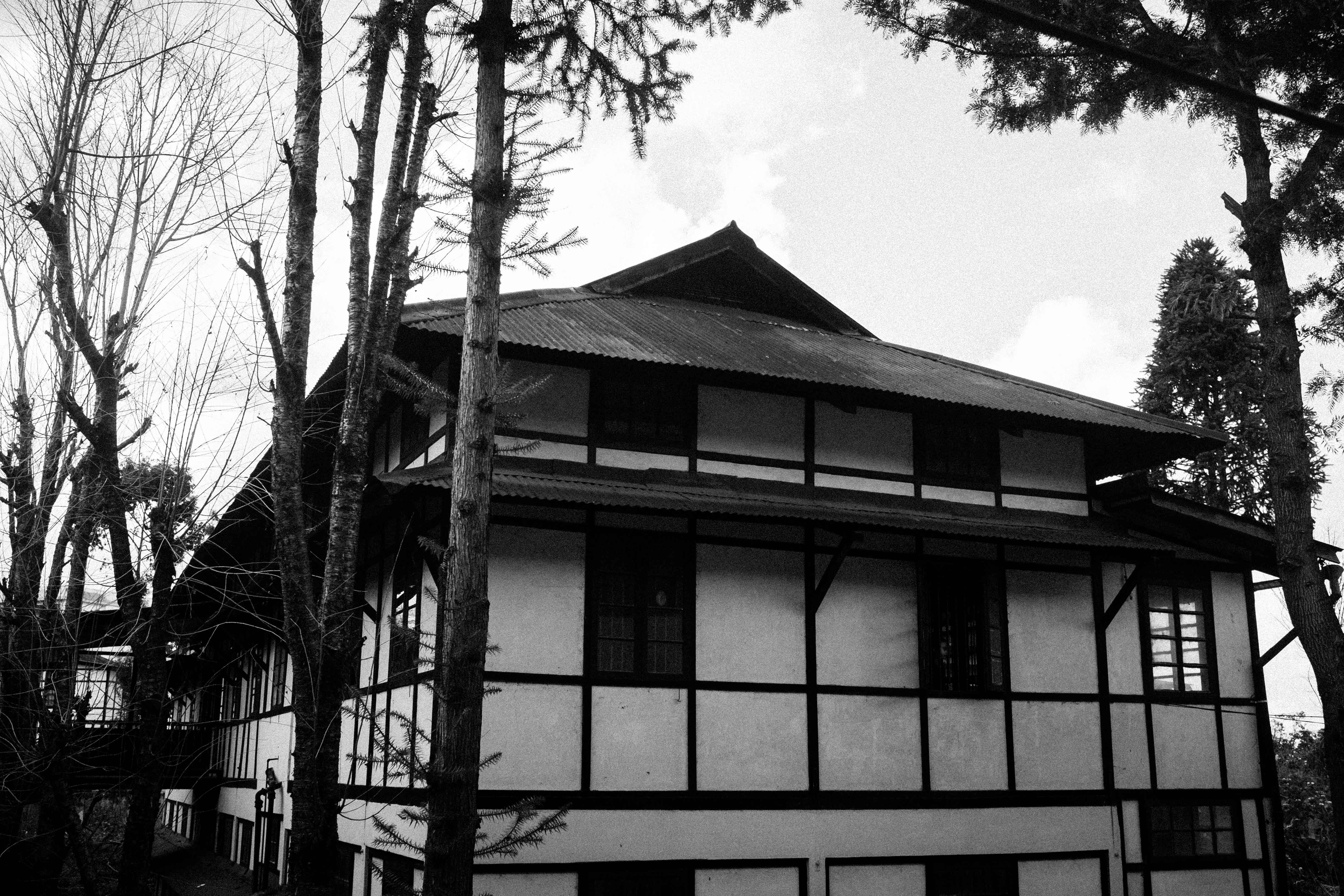 Pine Mount School, Shillong, 2015