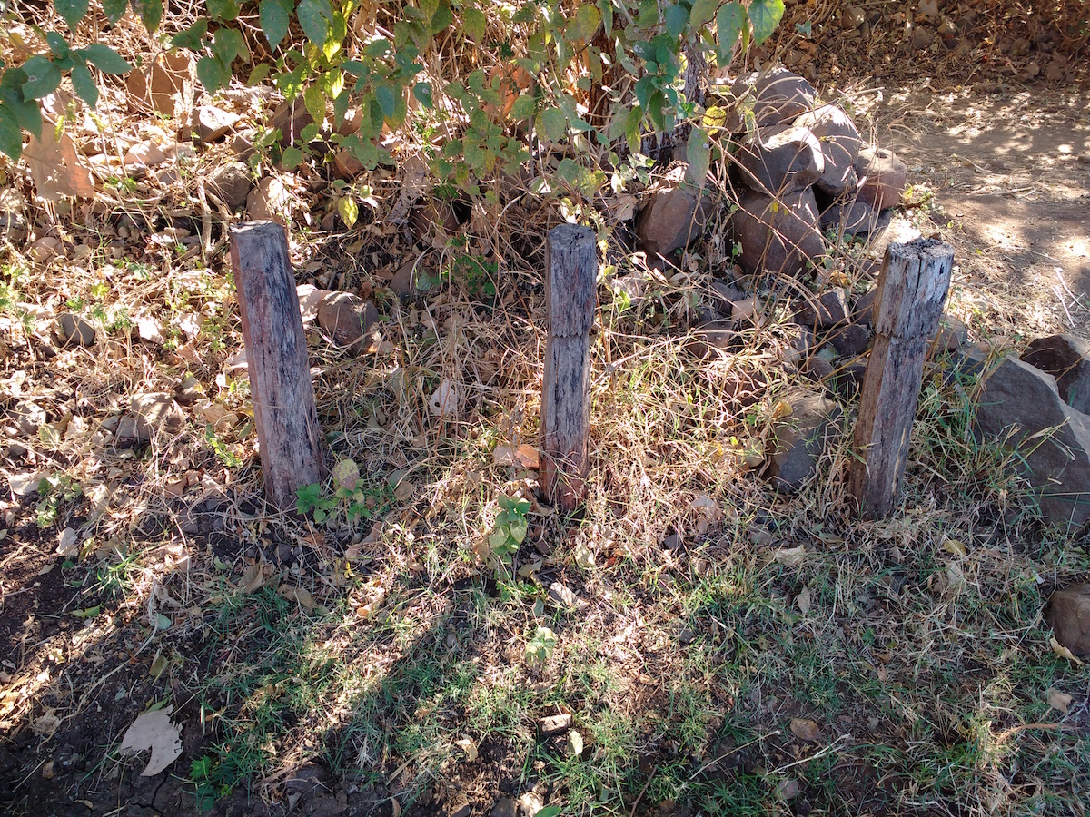 Traditional indal : Teak wood pillars on a farm hedge, indicator that the family had conducted Indal festival some years ago.